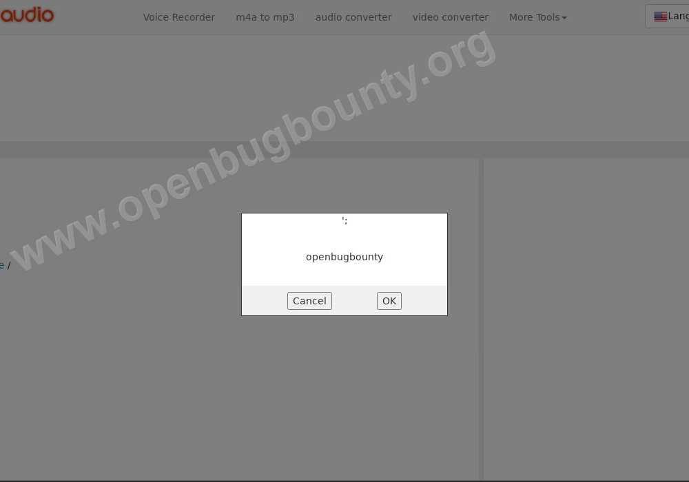bearaudiotool.com Cross Site Scripting vulnerability OBB-2051532 | Open Bug  Bounty
